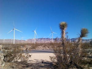 windmills
